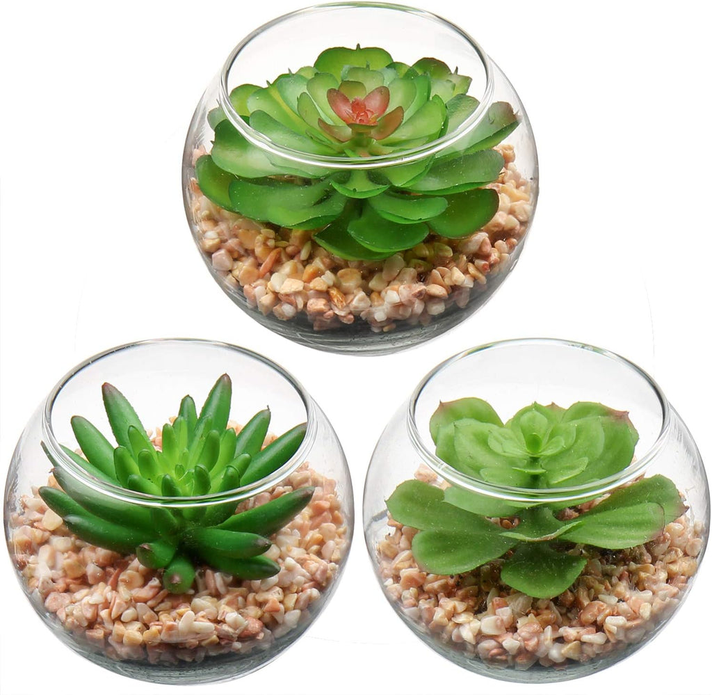 Briful Mini Fake Plants 3 Packs Artificial Succulents Plants in Round Glass Vase Cute Faux Succulents for Bathroom Kitchens Shelf Table Decor