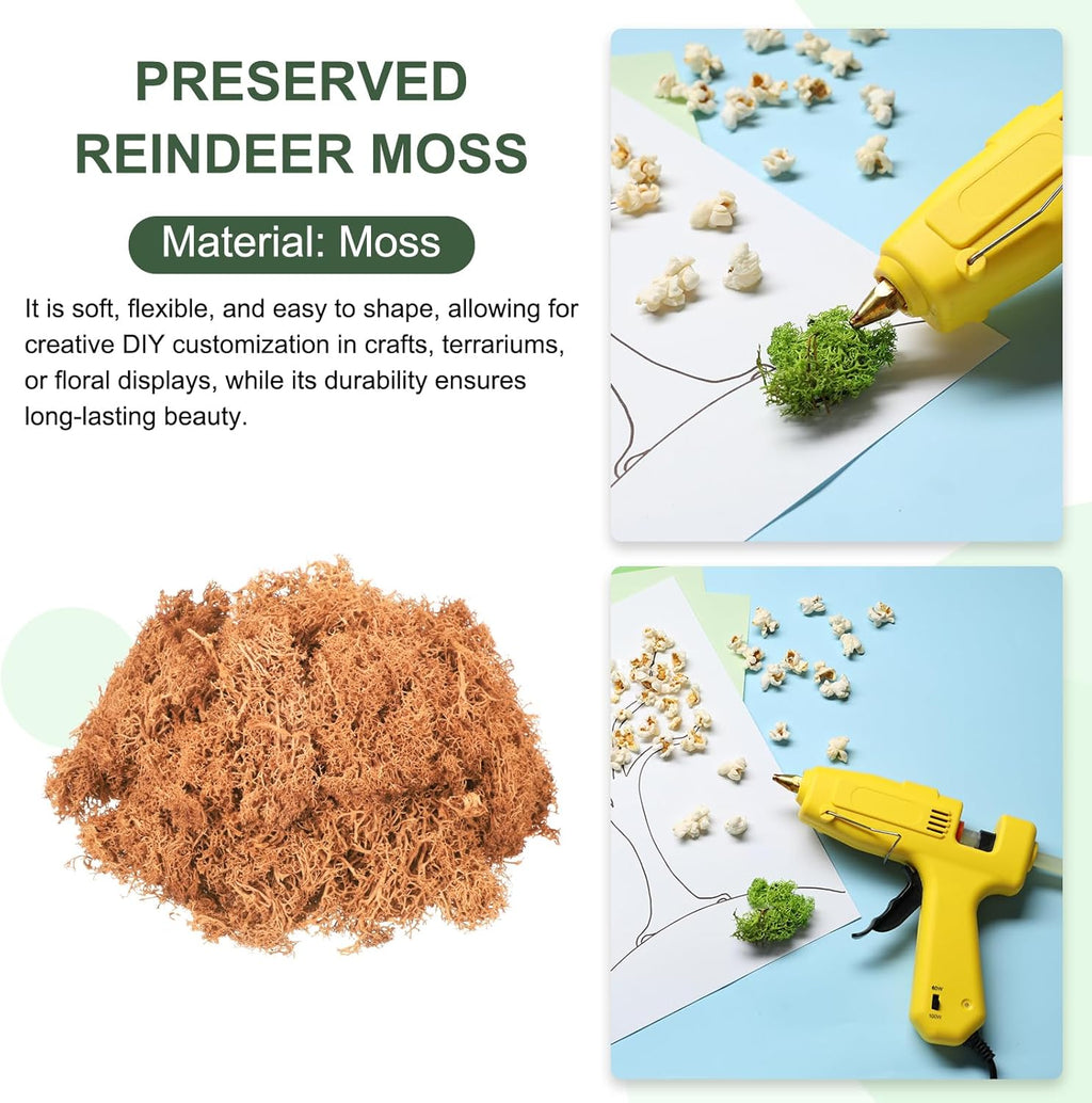 MECCANIXITY 4.6oz Preserved Reindeer Moss, Orange Decorative Artificial Fake Moss for Potted Plants Indoor Crafts Lichen Centerpieces Decor