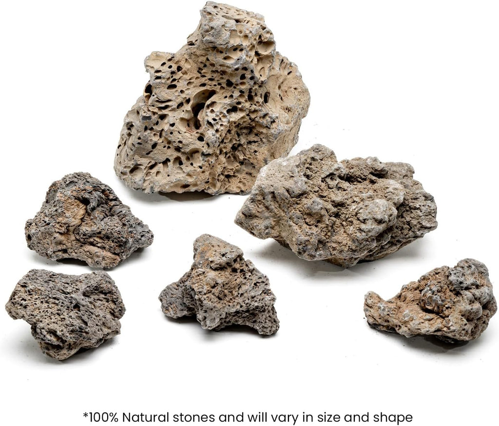 SubstrateSource Natural Stone for Aquarium, Terrarium, Paludarium, Reptile Enclosures - Set of Decorative Rocks for Landcapes, Aquascaping, Fish Tank Decor (Icelandic Lava Stone, 7 Pounds, 3-6")