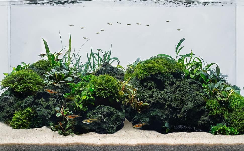 LANDEN Black Lava Stones (16lbs,3~10inch,11pcs) for Aquascaping Terrariums, Paludarium, Vivariums, Reptile and Amphibian Enclosures