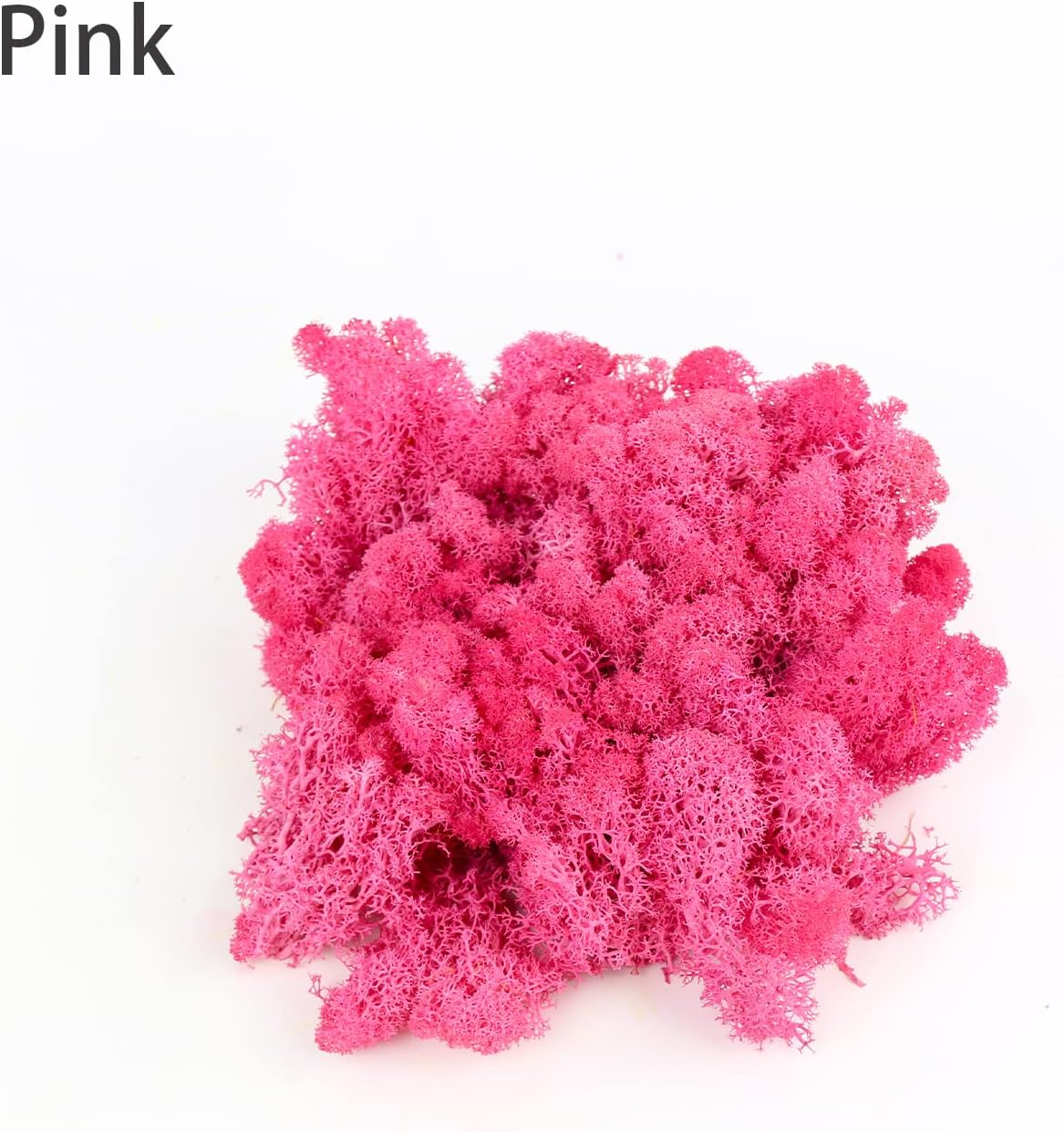 Amoueterno Preserved 4 Color Reindeer Moss,Total 14OZ Each Color 3.5OZ, Natural Real Moss, DIY Kit Crafts Art Wall Decor Florist Decor,Purple