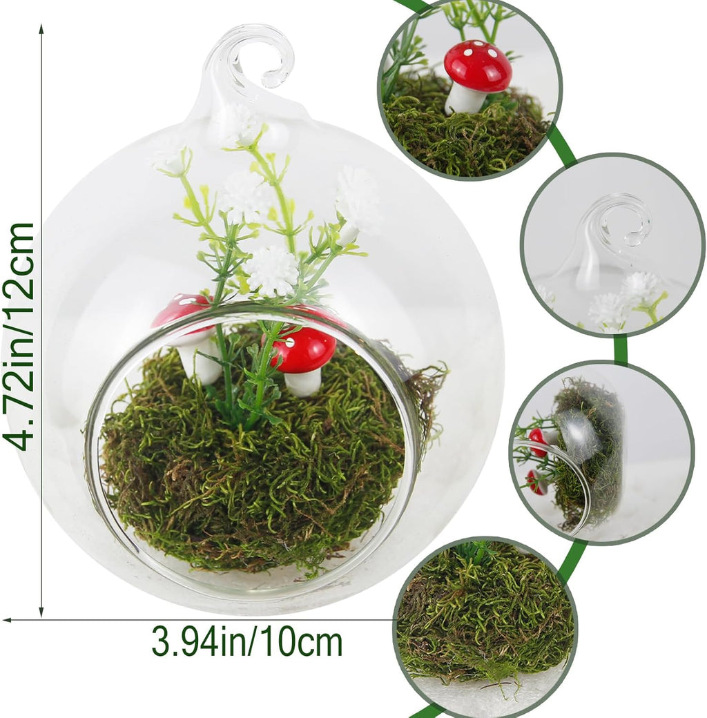 Glass Hanging Planter Terrarium for Indoor Plants Hanging Glass Globes with Artificial Moss Flowers Air Fern Holder Terrarium Plants Hanger Vase Gifts for Plant Lovers Home Decoration