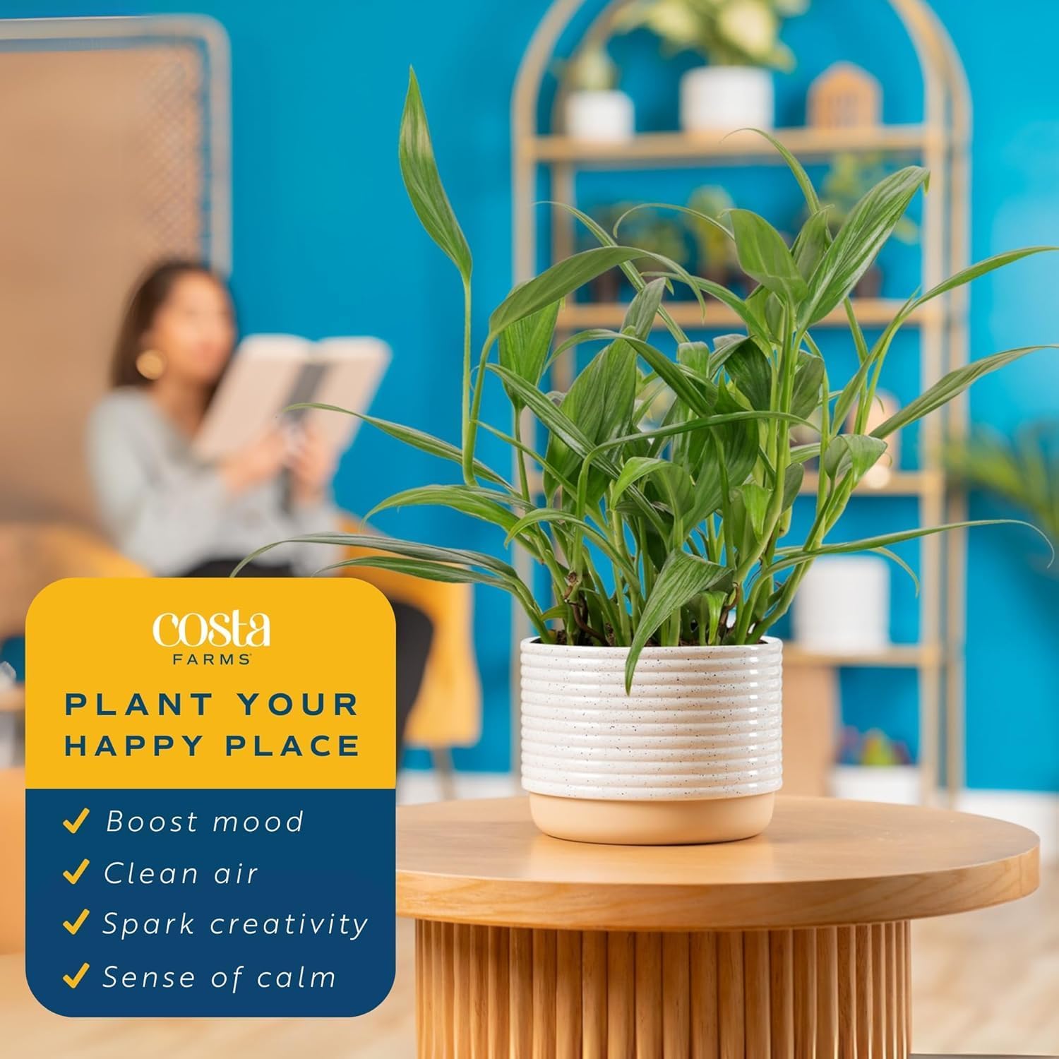 Costa Farms Silver Streak Pothos Live Plant in Self Watering Pot, Air Purifying Indoor Houseplant, Perfect for Home, Room, or Office Decor, Great House Warming or Birthday Gift, 10-16 Inches Tall