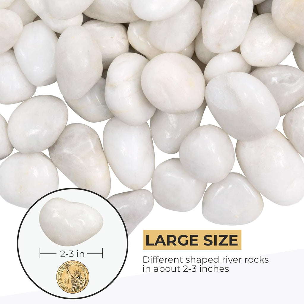 5lbs Large Pebbles for Indoor Plants, 2-3 Inch Natural White River Rocks for Aquarium, High Polished Decorative Stones for Vase Filler Fish Tank Landscaping Garden