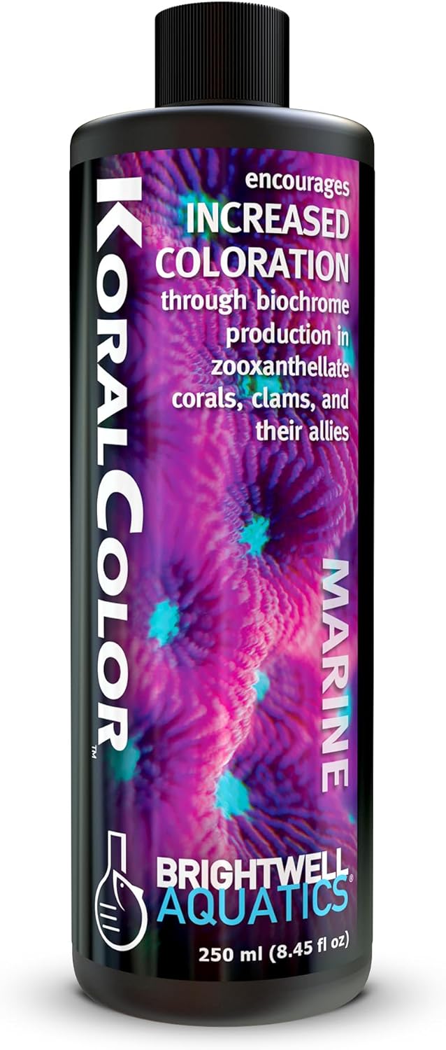Brightwell Aquatics KoralColor – Coral Pigment Enhancer for Vibrant Reef Colors – Supports Zooxanthellae Biochrome Formation – Professional-Grade Trace Elements, 250 ml