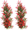 Tfwadmx Large Aquarium Plants Artificial Water Seaweed 2 Pcs About 13 Inch for Fish Tank Decor Plastic Plant for Betta Shrimp Red Gladiolus