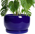 SQOWL Ceramic Plant Pot - 10 Inch Ceramic Planter for Indoor Outdoor, Round Flower Pot with Drainage Hole and Saucer, Modern Decorative Large Planter, Garden Decor, Plant Lover Gifts, Blue