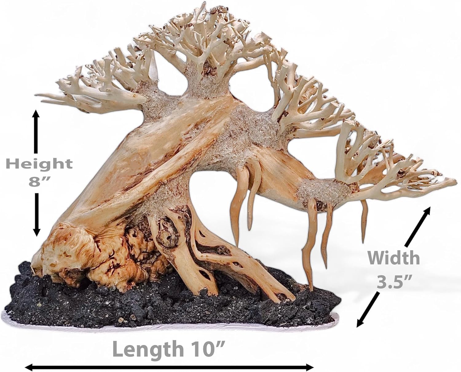 Azil Aquascape Bonsai Driftwood Tree 10” – Premium Natural Aquarium Decor for Fish Tanks, Freshwater Aquariums, Hardscape & Planted Tanks