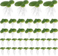 Framendino, 72 Pack Artificial Floating Duckweed Plant Plastic Fake Simulation Plants (3 Size)
