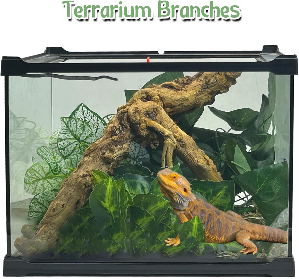 Reptile Branch Decor 2 Pcs Snake Climbing Wood Branches Lizard Habitat Decorations Terrarium Natural Forest Tree Trunk Ornament for Bearded Dragon Geckos Chameleon Frog