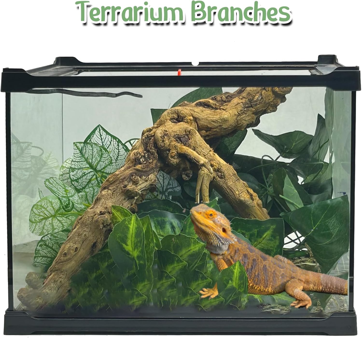 Reptile Branch Decor 2 Pcs Snake Climbing Wood Branches Lizard Habitat Decorations Terrarium Natural Forest Tree Trunk Ornament for Bearded Dragon Geckos Chameleon Frog