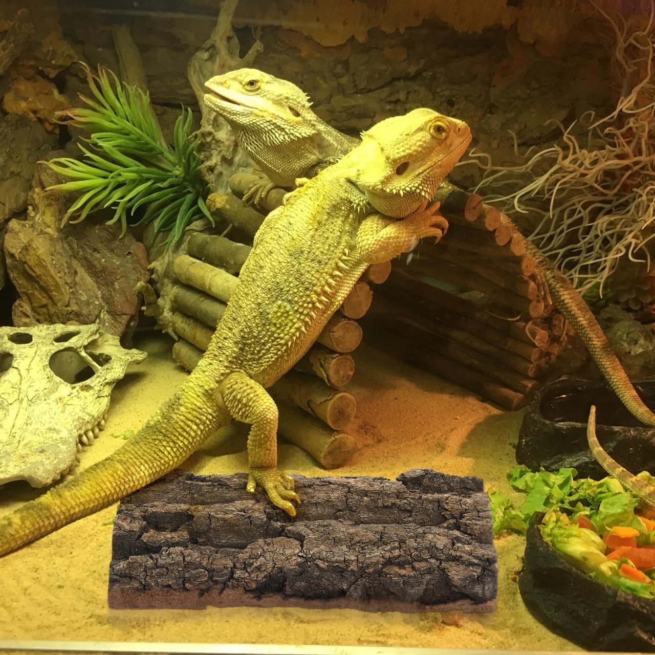 3 Pcs Cork Terrarium Background Reptile Bark Backdrop Bearded Dragon Tank Wall Habitat Decor for Gecko Lizard Tortoise Frog