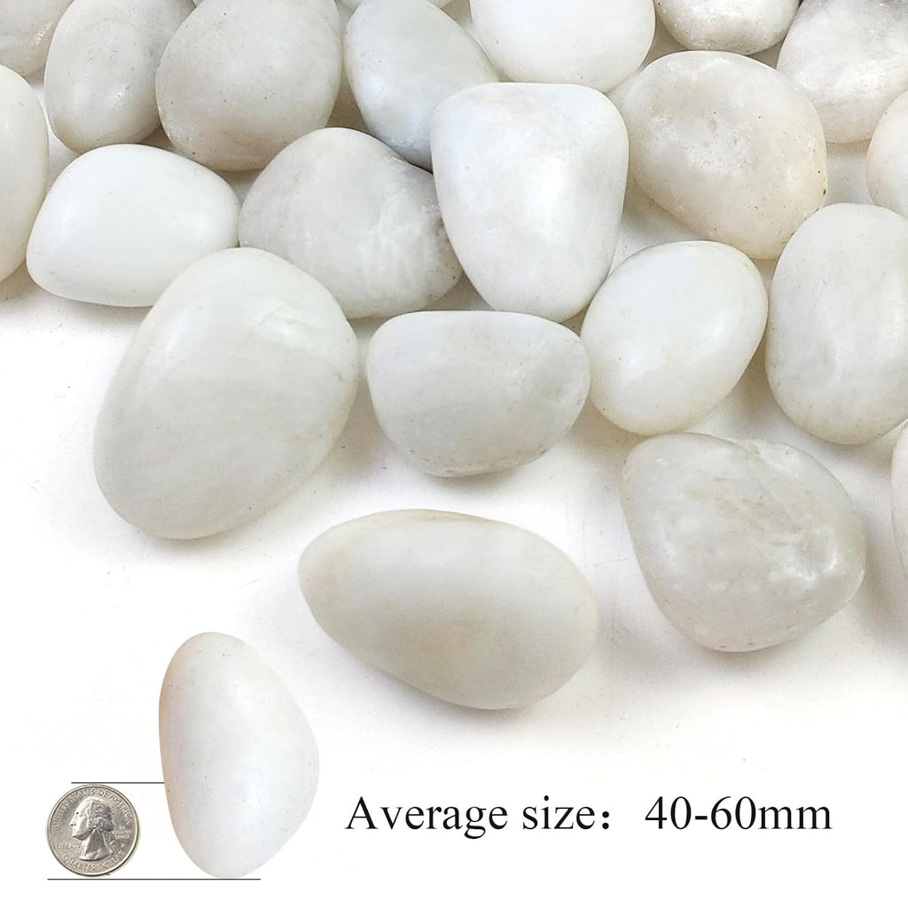 40LB White River Rocks - 2-3 inch High Polished Decorative Pebbles, Stones for Landscaping, Natural River Rocks for Outdoor Décor, Plants,Vase Filler,Fish Tank