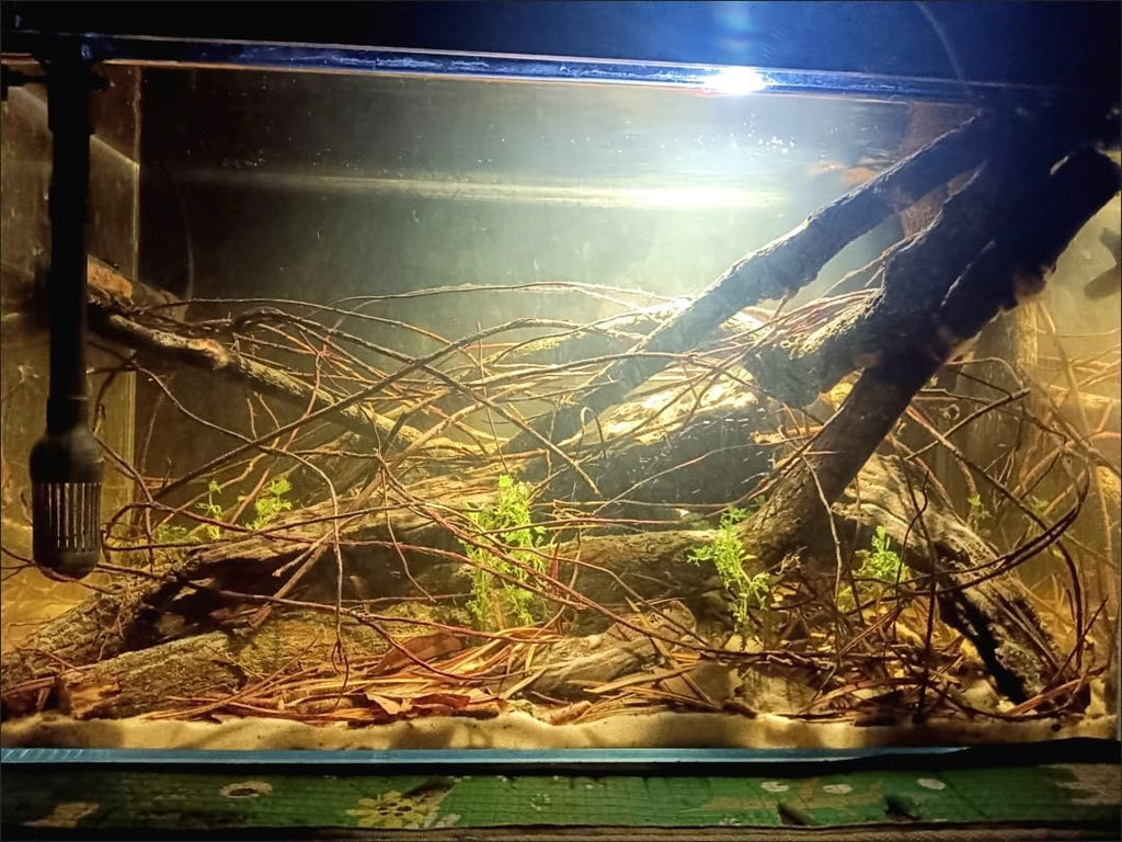 160g Aquarium Driftwood Roots - Bushy Tank Wood for aquascaping - Perfect for Fry, Shrimp or Terrarium,Natural Wood Roots for Aquarium aquascaping