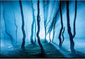 ELEBOX Fish Backgrounds Paper Double Sides 3D Stone & Trees Aquarium Background Picture 12" x 32" Fish Tank Background