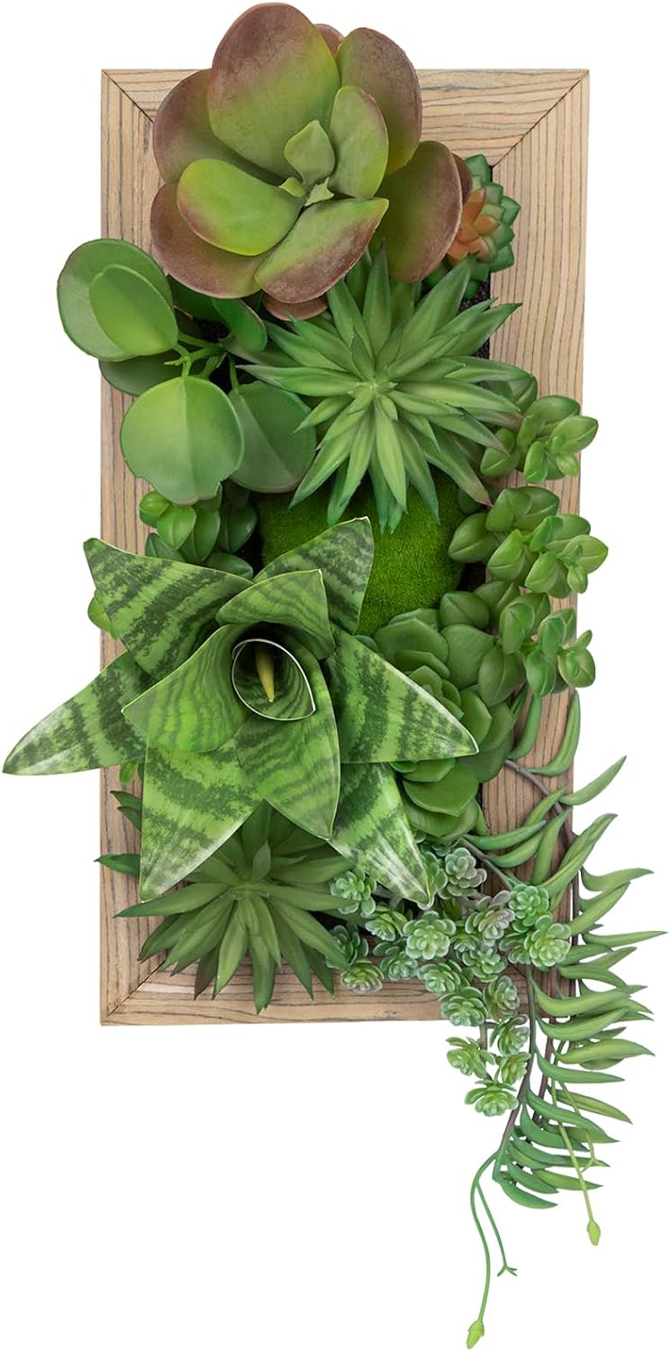 Succulents Wall Decor Hanging Artificial Plants Fake Snake Plants with Moss and Rectangle Wooden Frames Faux Plants Hanging Decor for Table Desk Livingroom Bedroom Bathroom Home Office