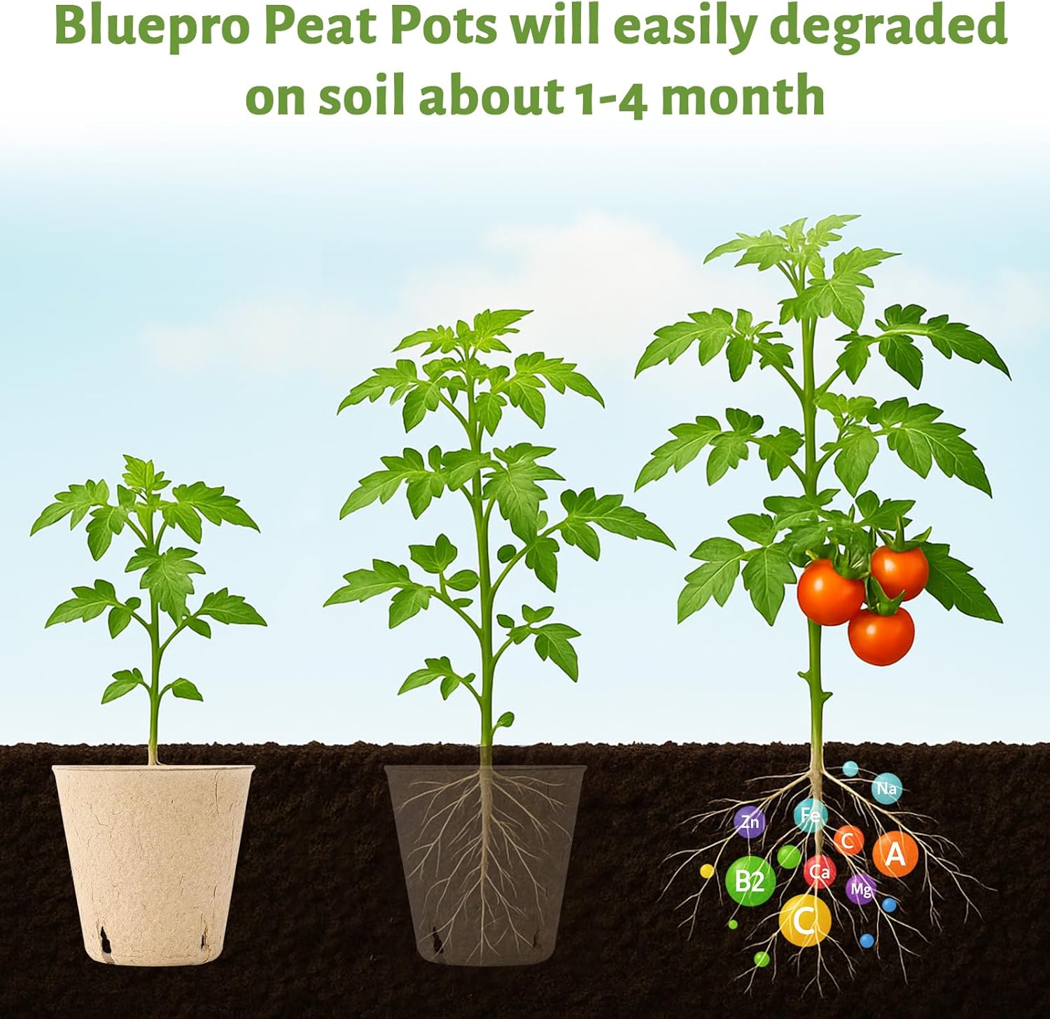 120 Packs 3.15 Inch Peat Pots, Biodegradable Pots for Seedlings with Drainage Holes, Herb Seed Starter