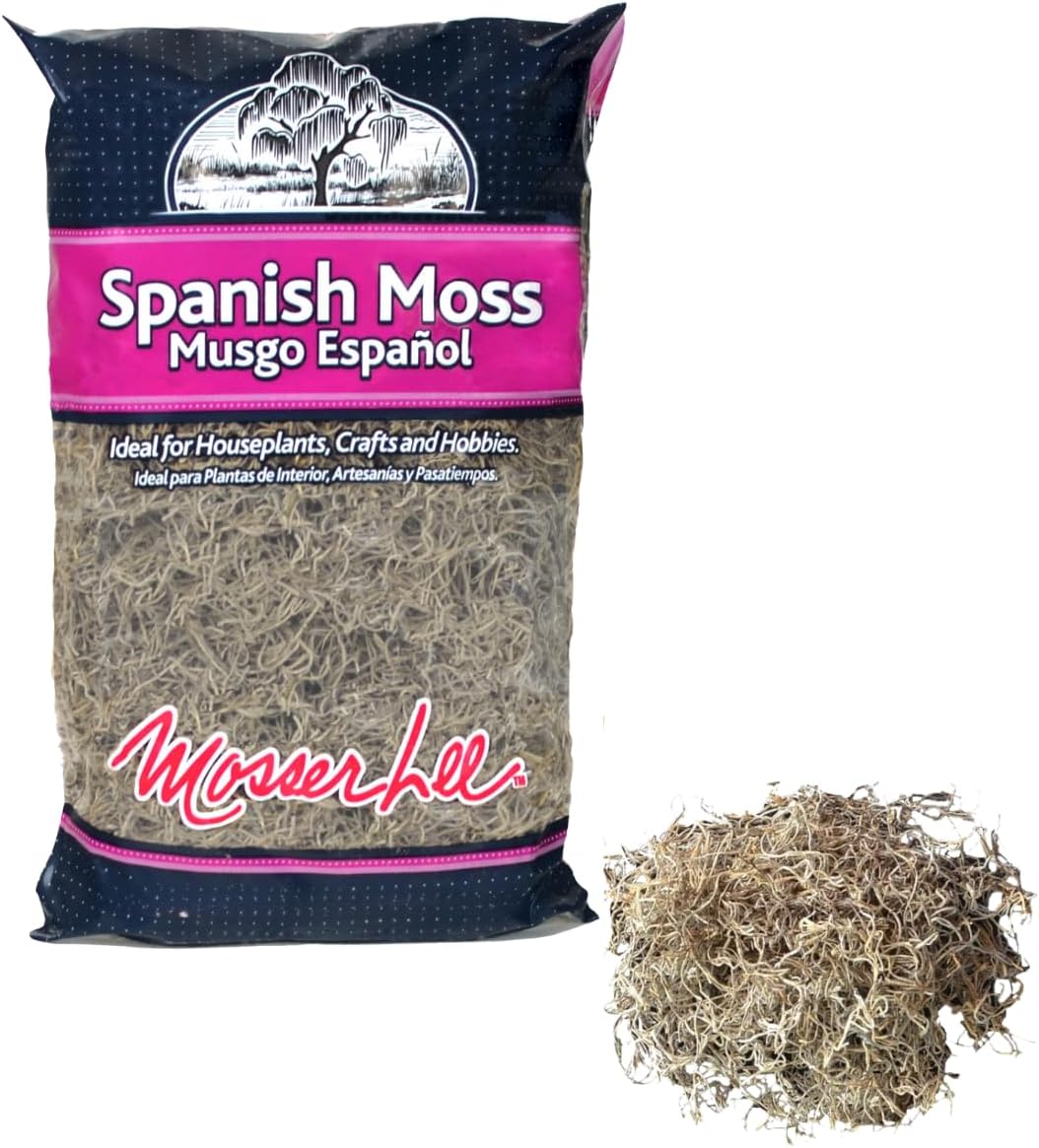 Mosser Lee Spanish Moss – Natural Decorative Moss for Houseplants, Soil Cover, Crafts, Terrariums & Floral Arrangements - 400 Cubic Inches