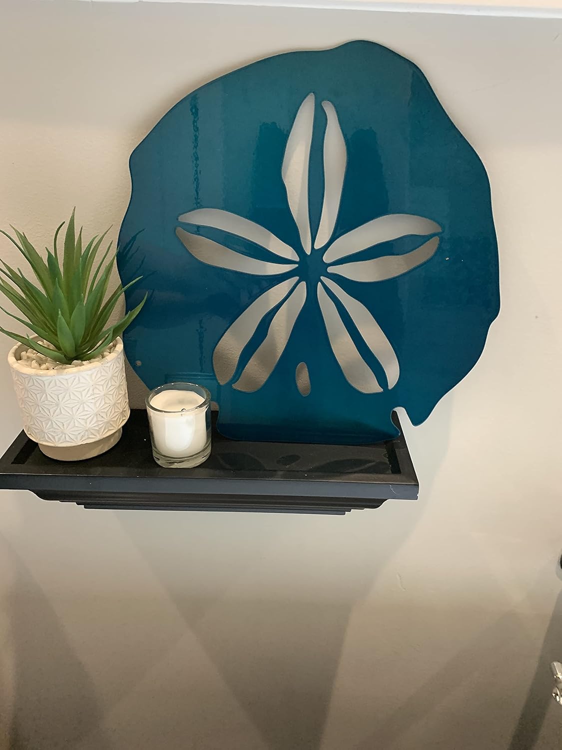 Riverside Designs Coastal Sand Dollar Ocean Beach Metal Art Steel Wall Decor (12", Teal)
