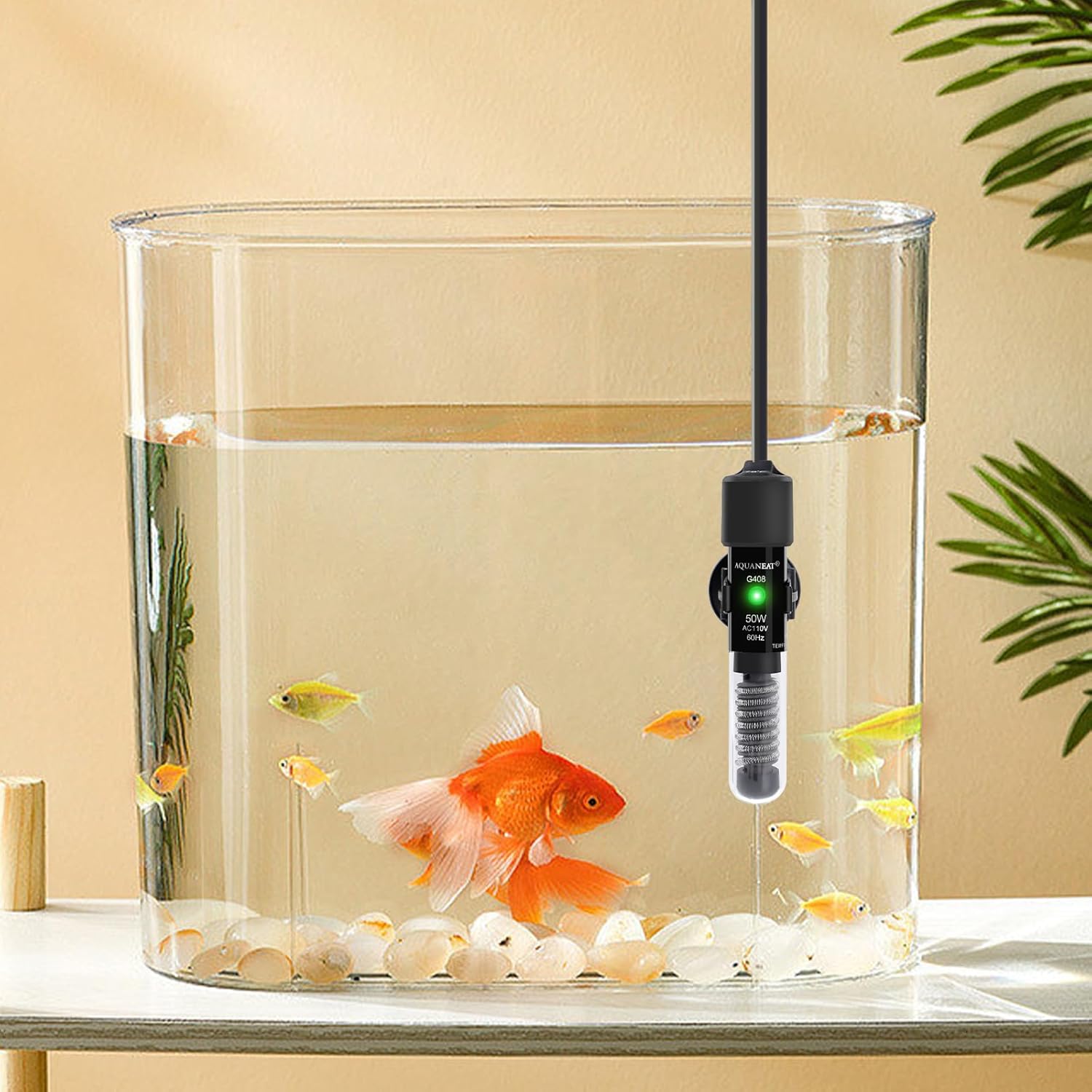 AQUANEAT Aquarium Heater, 50W Small Betta Fish Tank Heater, Mini Preset Water Thermostat with a Thermometer