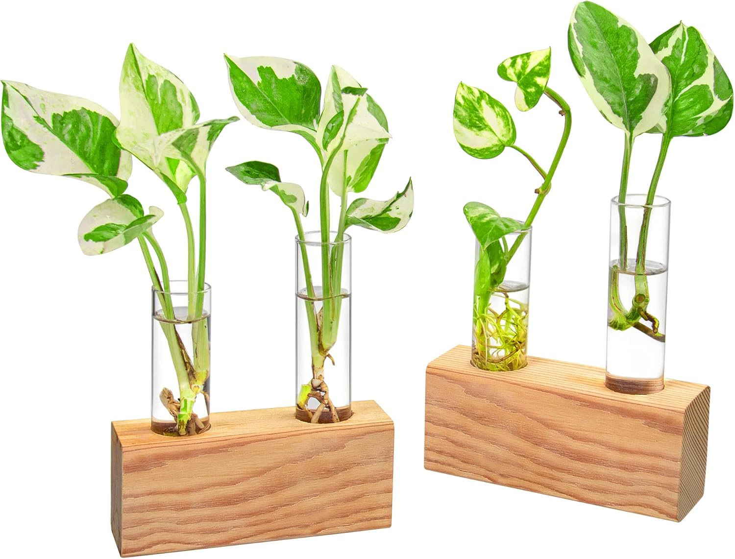 Propagation Station, Plants Terrarium, Plants Lover Gifts for Women,Plant Cutting Holder Home décor,Gifts for Women,House Warming New Home-4 Tubes-Beige