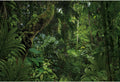 10x6.5ft Jungle Forest Photography Backdrop for Outdoorsy Camping Theme Party Background Spring Mysterious Rainforest Jungle Forest Tree Natural Scenery Kids Adult Wedding Photo Studio Props