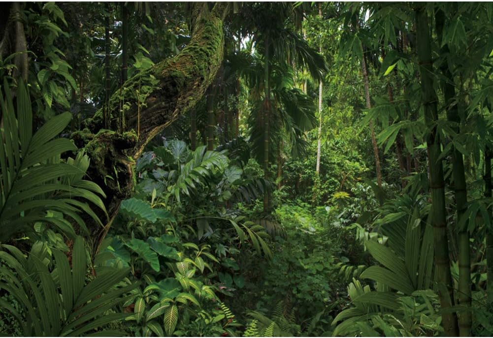 10x6.5ft Jungle Forest Photography Backdrop for Outdoorsy Camping Theme Party Background Spring Mysterious Rainforest Jungle Forest Tree Natural Scenery Kids Adult Wedding Photo Studio Props