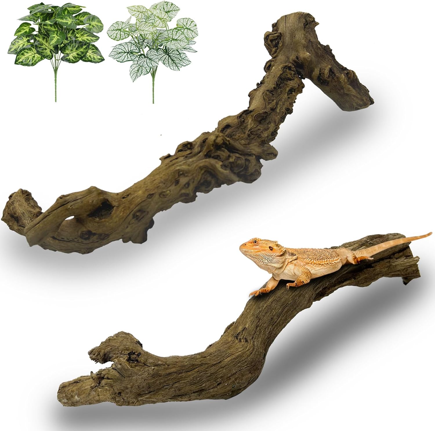 Reptile Branch Decor 2 Pcs Snake Climbing Wood Branches Lizard Habitat Decorations Terrarium Natural Forest Tree Trunk Ornament for Bearded Dragon Geckos Chameleon Frog