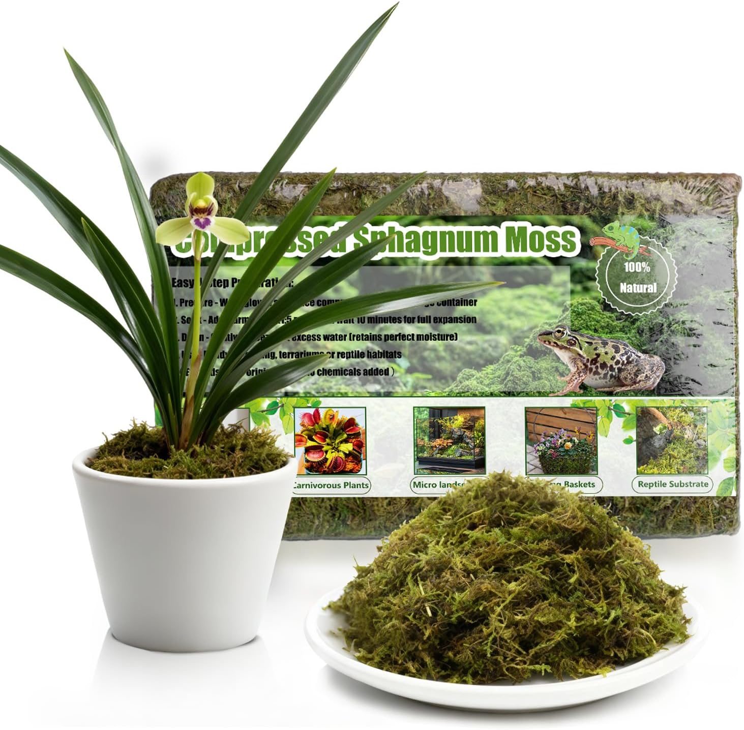 Compressed Sphagnum Moss for Plants & Reptiles (2pc)– Dried Peat Moss, Moisture-Retentive for Indoor Plants, Orchids, Terrariums, Reptile Bedding (100% Natural, Reptile-Safe
