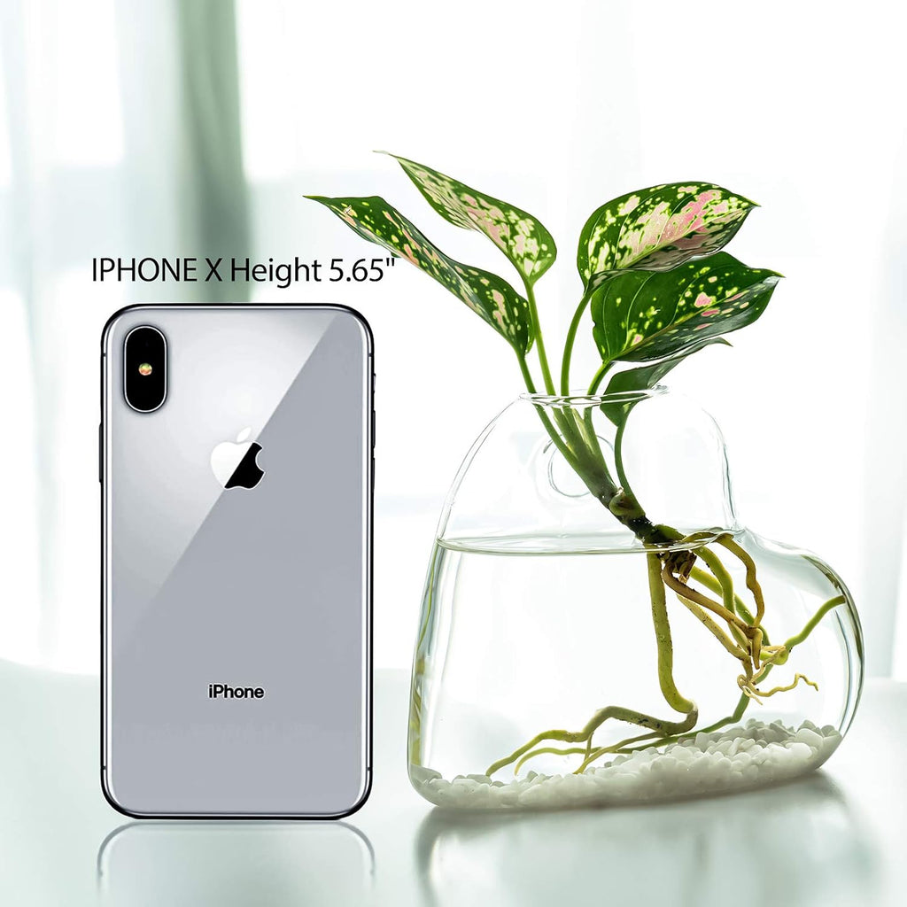 Kingbuy Wall Hanging Glass Planter Terrarium Plant Propagation Station Heart Shape Vase for Planting Hydroponic Water Plants Home Office Garden Decor Gift, 2 Pack