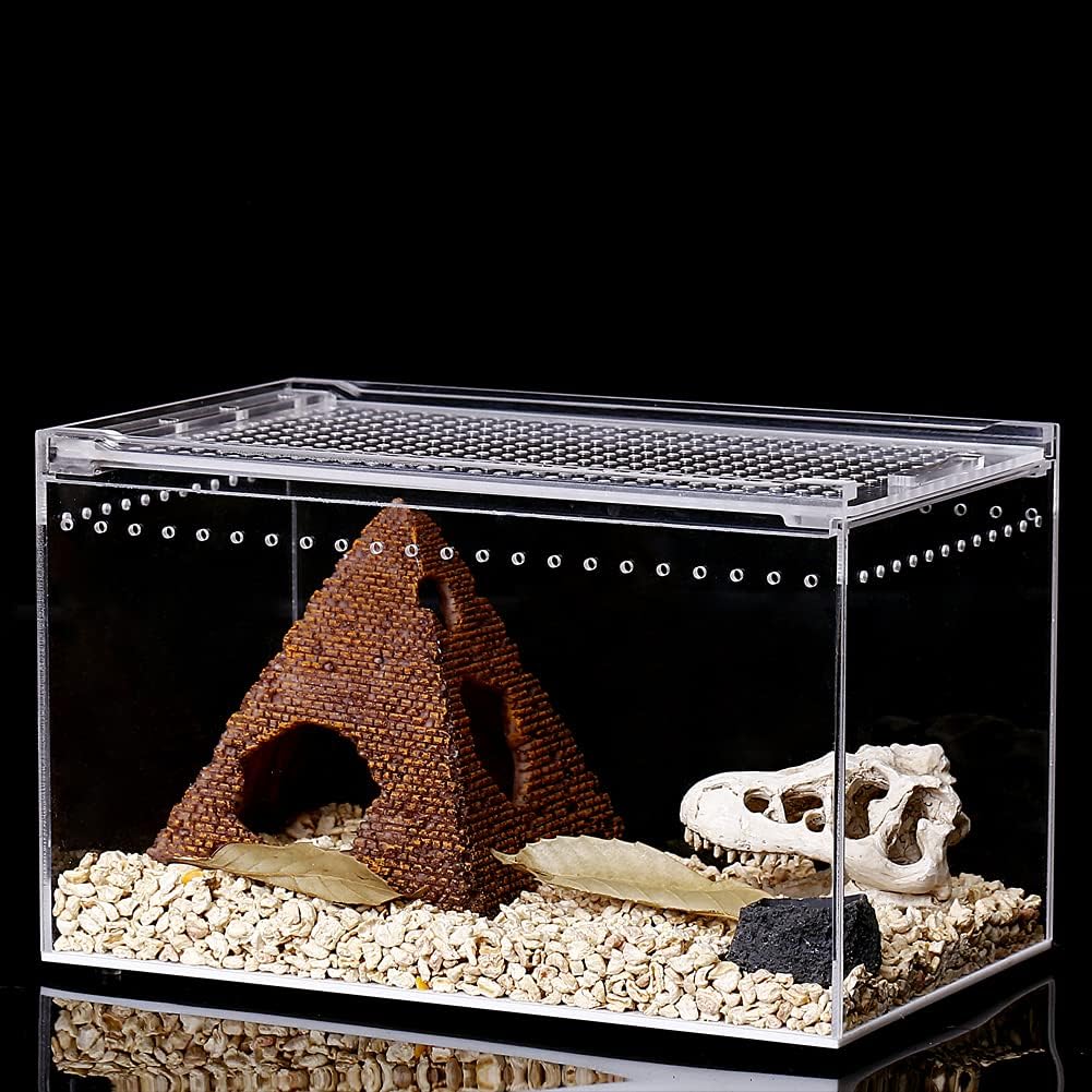 NANEEZOO Magnetic Acrylic Enclosure 10x6x6 Inch Tall Long Case Reptile Habitat Terrarium cage for Terrestrial Arboreal Tarantula Scorpion Sling Isopods Lizards Invertebrates Insect Mantis