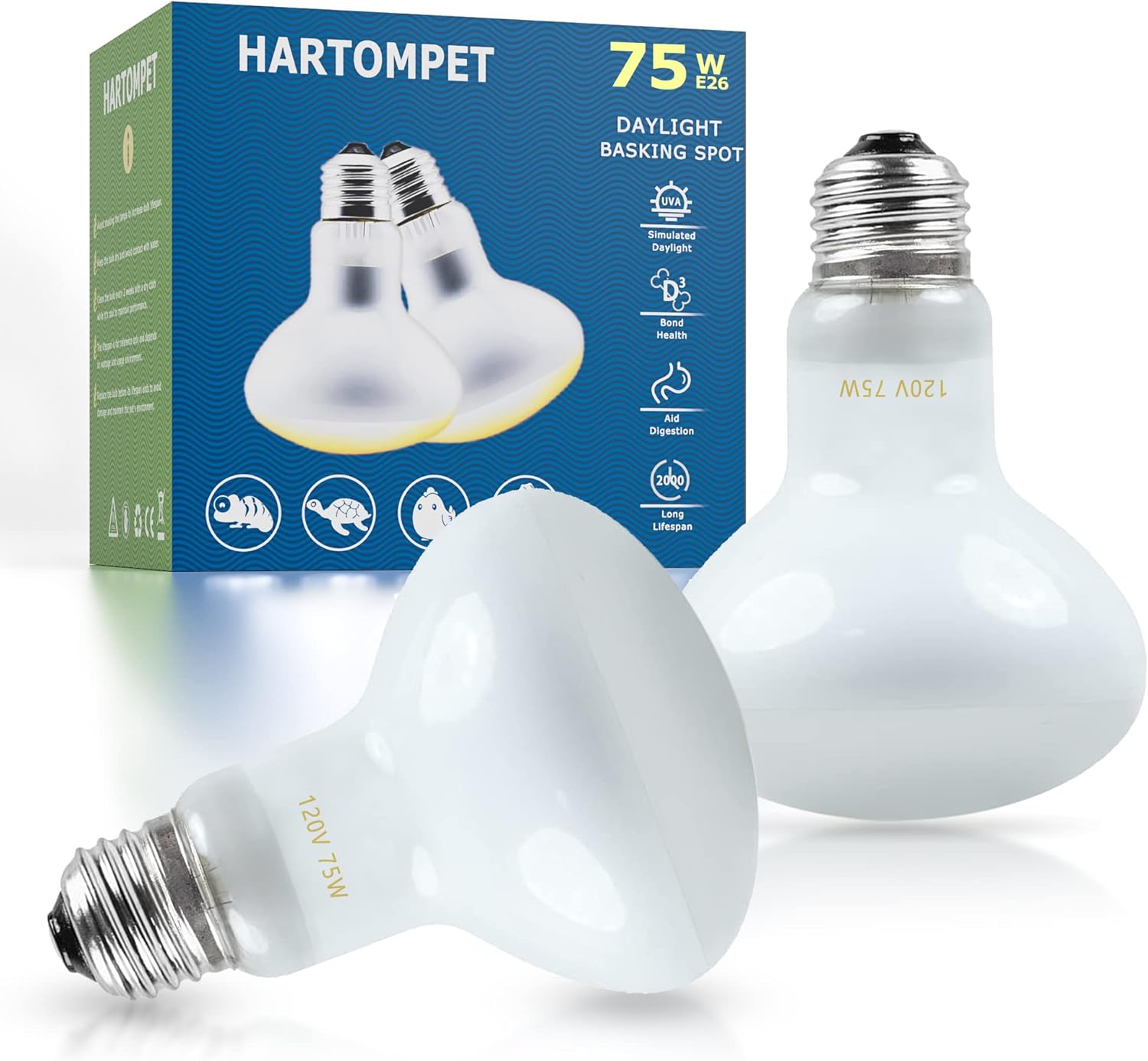 Reptile Heat Lamp Bulbs 75W E26 - UVA Basking Spot Light for Reptiles - Simulated Sunlight for Bearded Dragon, Lizard, Tortoise, chickss and More | 2 Pack