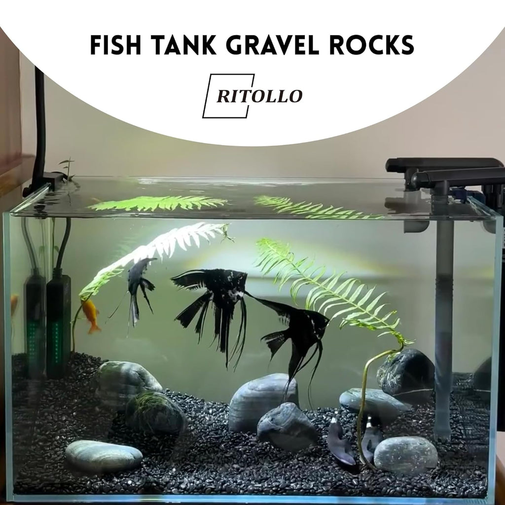 RITOLLO 12 lb Black Pebble Rocks 3/5-8/5 Inch Polished River Stones for Indoor Plants, Garden Landscaping, Vase Fillers & Aquarium Decor - Natural Decorative Rocks for Succulents, Bonsai, Terrariums