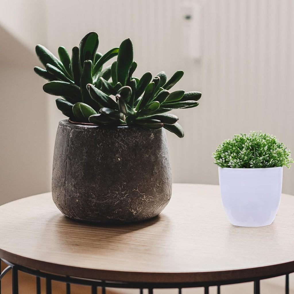 4Pcs Mini Faux Bonsai Plant Decor Artificial Succulent for Desktop Bookshelf Windowsill Decoration Vivid Realistic Greenery Ornament for Home Office