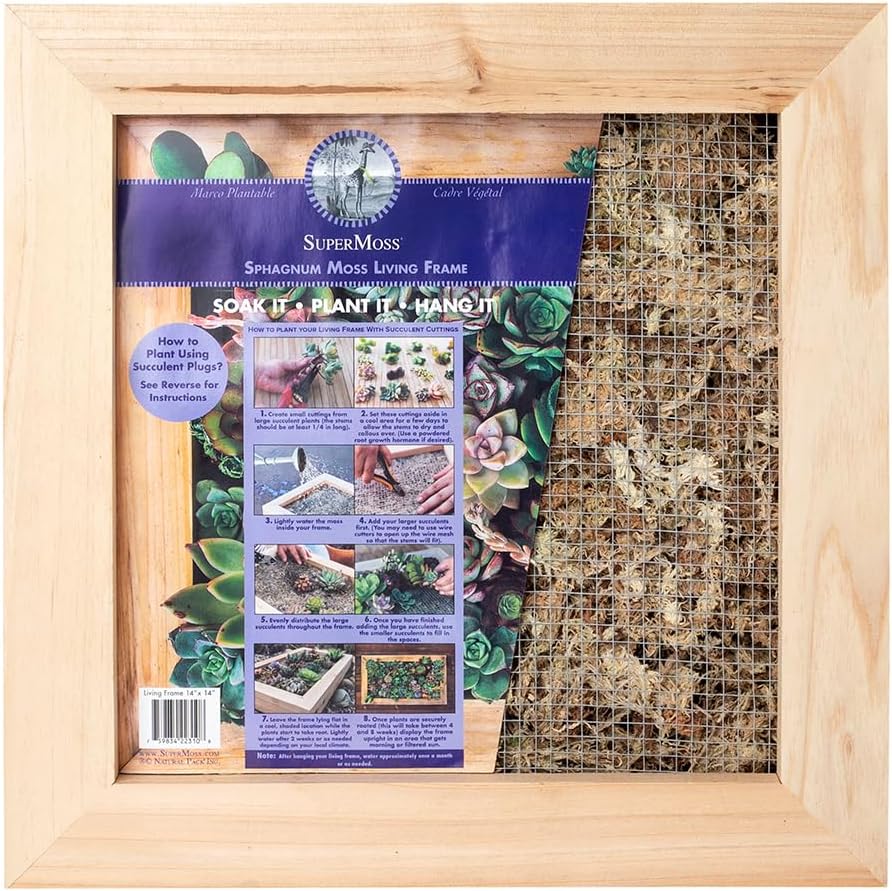 SuperMoss (22312) Sphagnum Moss Living Frame with Solid Wood Design | Succulent Wall Planter for Indoor and Outdoor Home Decor, Wall Art, Farmhouse Decor, and Living Room Wall Display, 6” x 6”