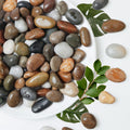 5Ib Rain Forest River Rock-Decorative Stones-Pebbles for Indoor Plants-Rocks for Outdoor Landscaping- 0.3"-0.8" inch High Polished Stones for Fish Tank, Terrarium,Vases, Home Decor