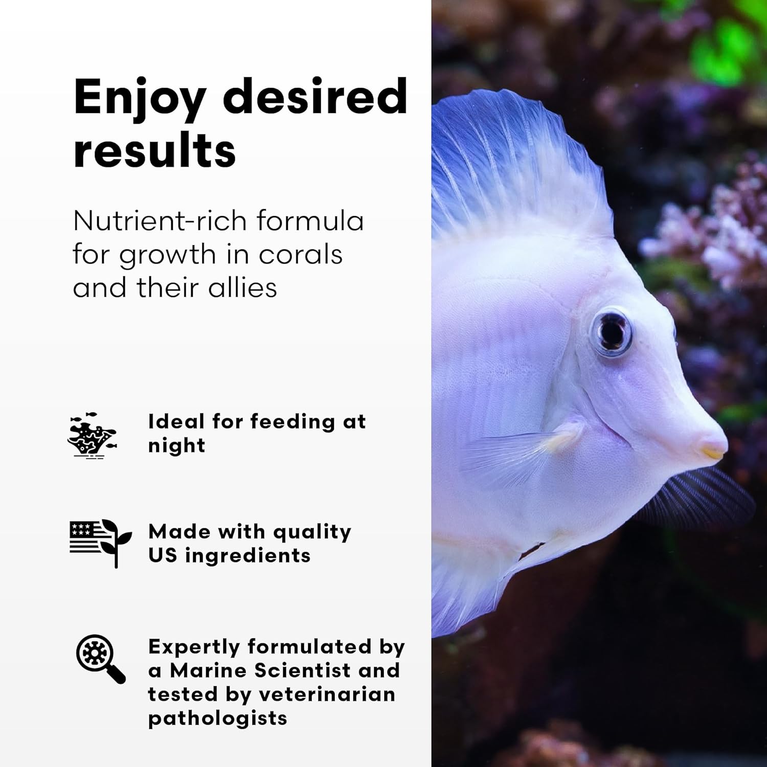 Brightwell Aquatics Reef Snow – Nutrient-Rich Supplement for Corals, Clams, Tube Worms, Sponges & Suspension Feeders – Supports Soft Tissue & Skeletal Growth in Reef Aquariums – 500 ml