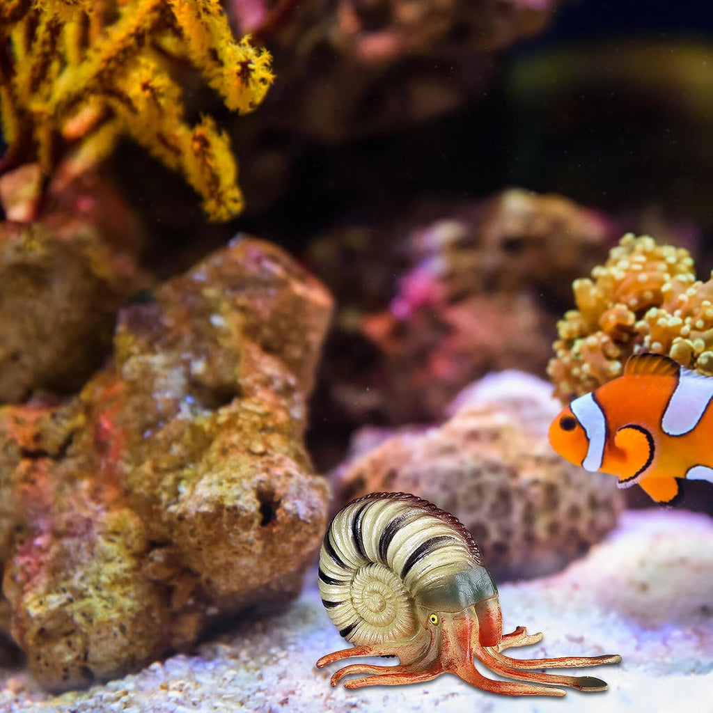 Hemoton Realistic Nautilus Model Ocean Animal Aquarium Decor Creature Figurine Educational for Creativity Development
