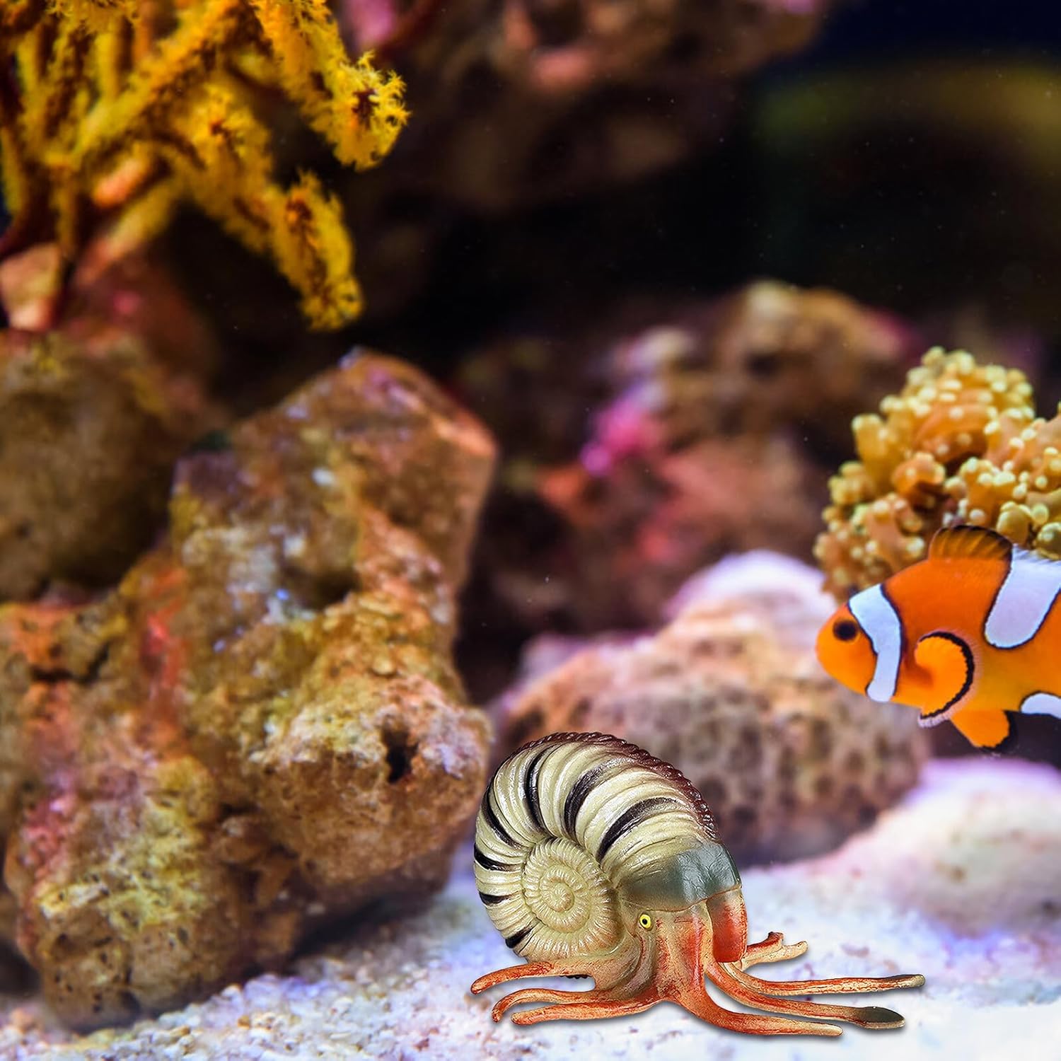 Hemoton Realistic Nautilus Model Ocean Animal Aquarium Decor Creature Figurine Educational for Creativity Development