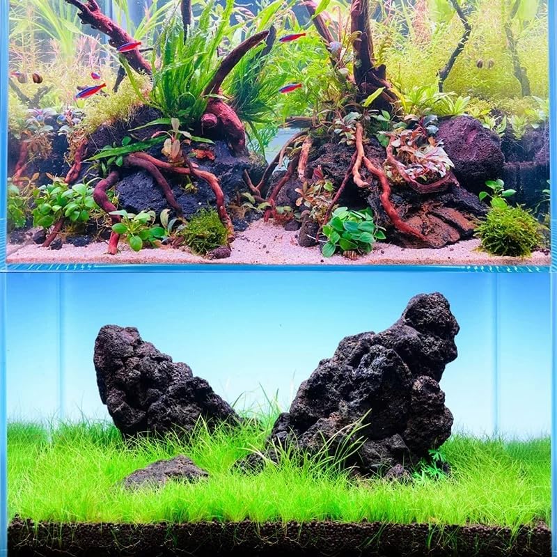 Aquarium Rocks for Fish Tank Bonsai Succulent Planters Garden Aquascaping Landscaping 10lb Natural Volcanic Lava Stones Decorative Indoor and Outdoor (6-8pcs 4-7 inches)