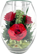 Fiora Flower | Long Lasting Real Roses in a Sealed Vase | Lasts up to 5 Years | Unique Present Gift