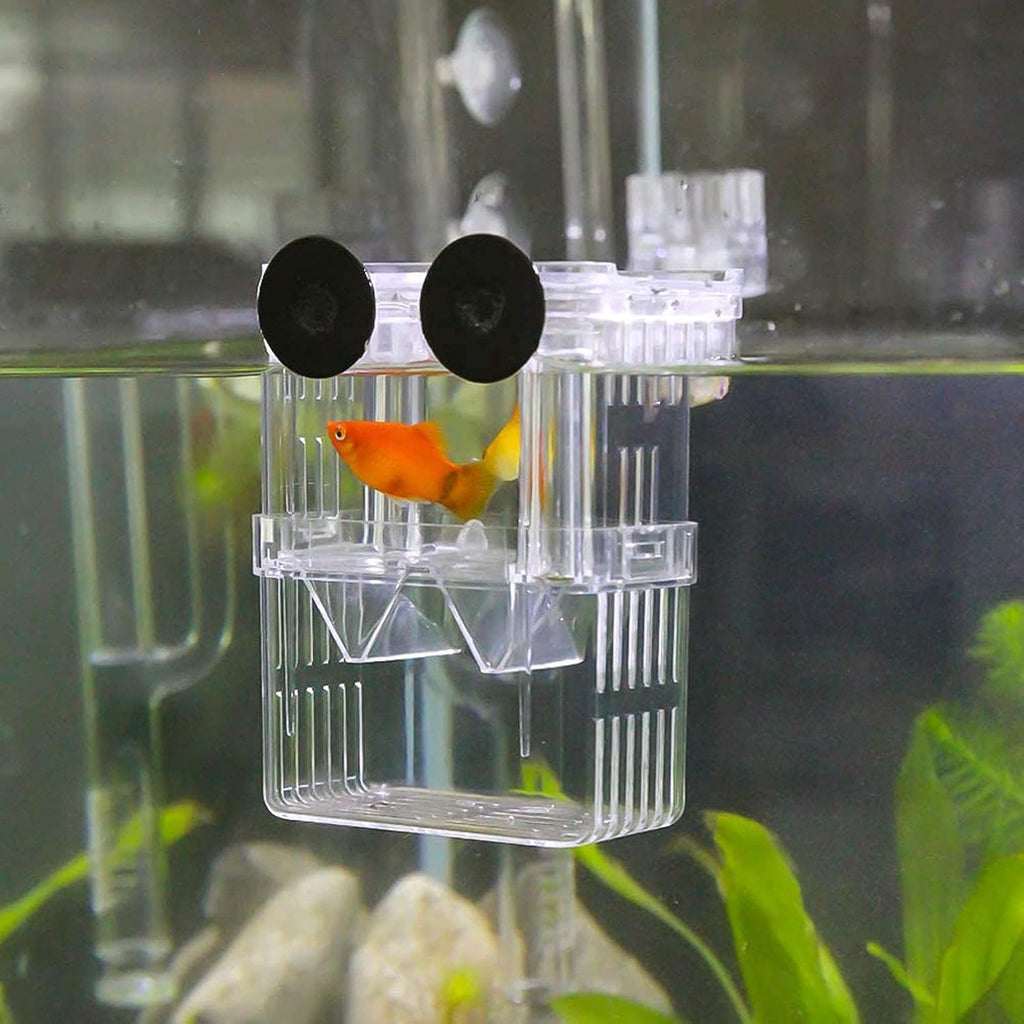 Aquarium Fish Breeder Box Plastic Fish Isolation Breeding Box Hatching Incubator Box for Baby Fish Shrimp Clownfish Guppy （S）