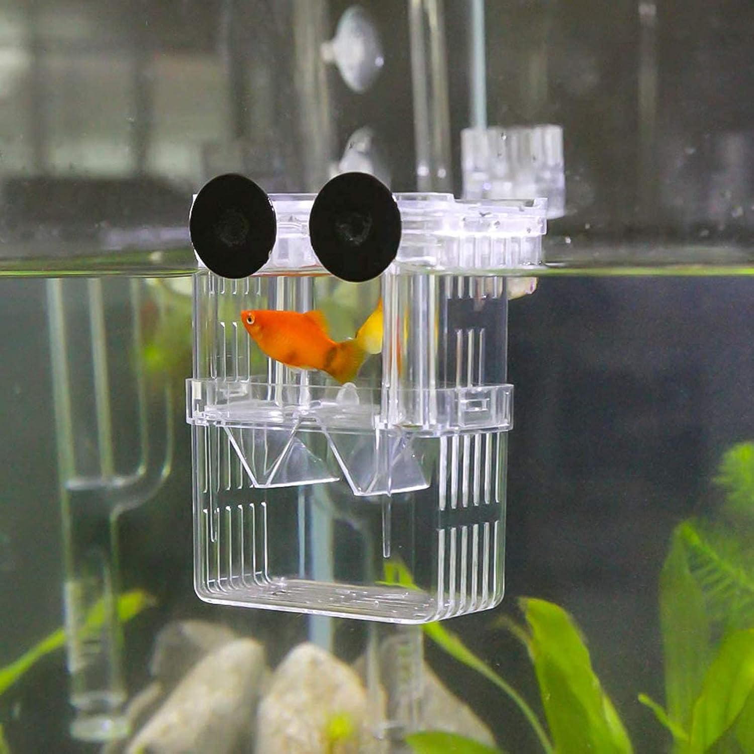 Aquarium Fish Breeder Box Plastic Fish Isolation Breeding Box Hatching Incubator Box for Baby Fish Shrimp Clownfish Guppy （S）