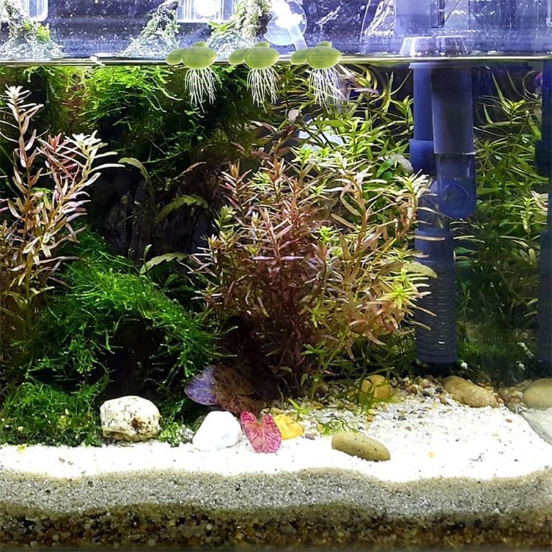 Amosfun 54pcs Fake Duckweed Aquarium Floating Plants Mini Light Green Floating Fish Plants Aquarium Tank Decor 1.57x1.57x3.54 Inch