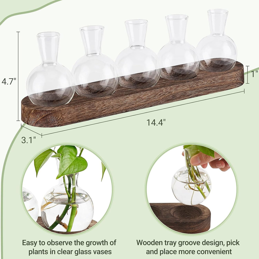 Mkono Desktop Plant Propagation Glass Station Retro Terrarium with Wooden Tray Bulb Vase for Hydroponic Home Indoor Decor Brown, Plant Lover Gift