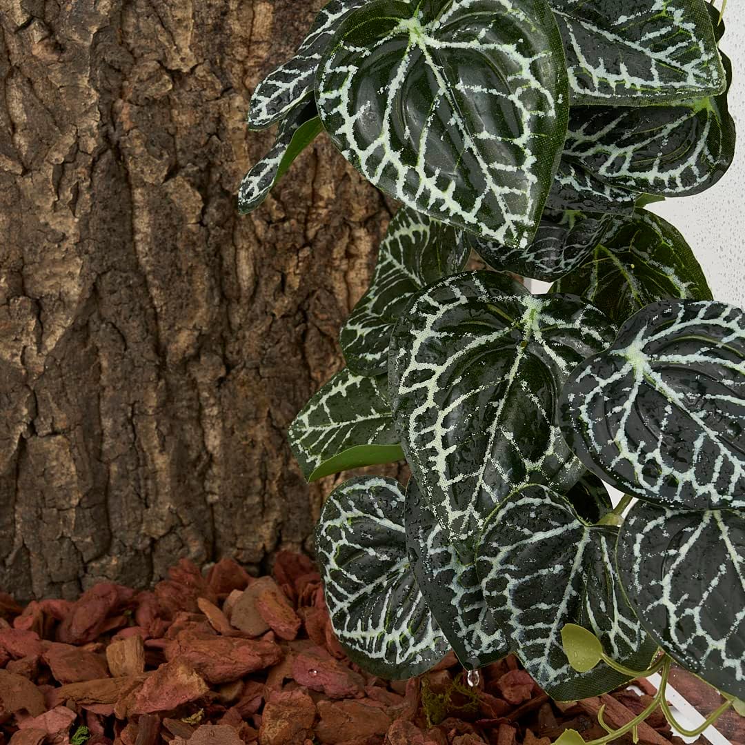 2Pack Reptile Fake Plants for Terrarium, Snake Tank Accessories, Habitat Decor Artificial Hanging Plants with Suction Cup - Fake Anthurium Crystallinum