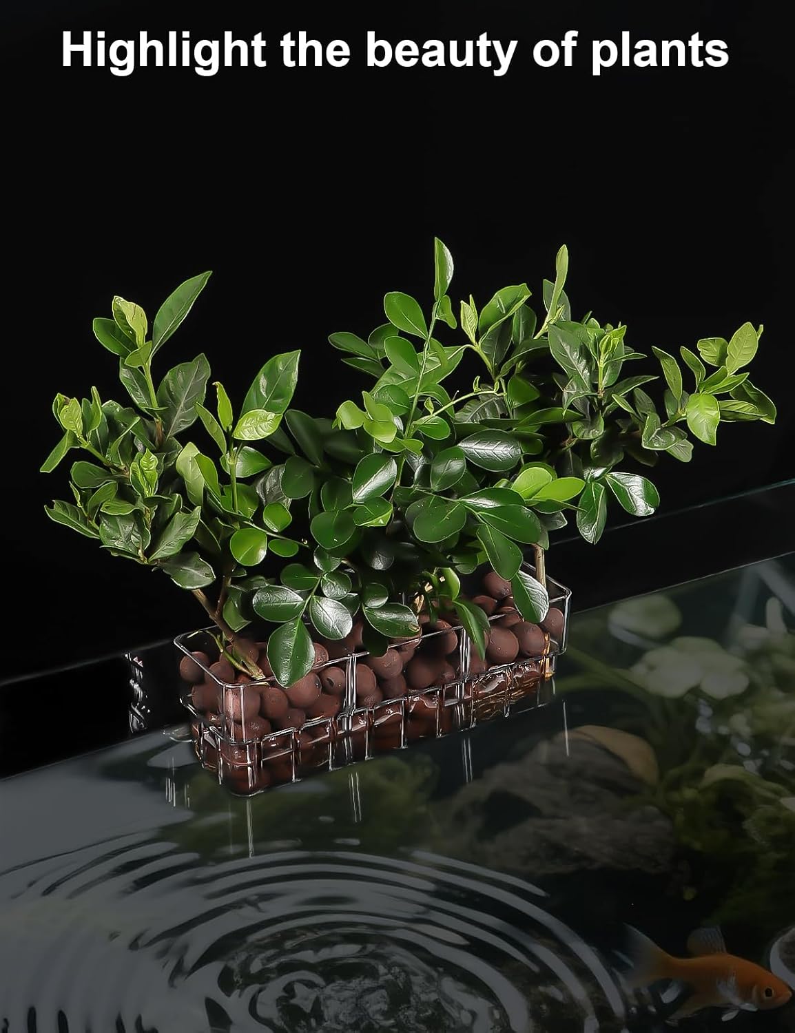 2 Pack Clear Aquarium Plant Holder Top Hanging Fish Tank Plant Holders Fits up to 0.8in Tank Edges, Aquarium Décor