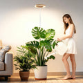 Full Spectrum Grow Light with Stand for Indoor Plants, Floor Plant Light, 6/12/18H Timer, 3 Color Modes, Adjustable Height 16.5–68in, for Large Plants & Home Décor(1 Head,Faux Wood Grain)