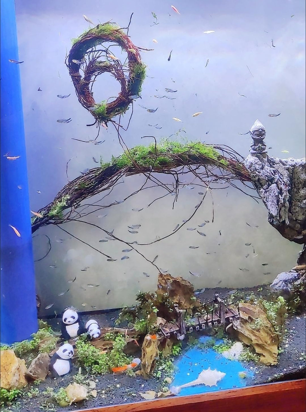 160g Aquarium Driftwood Roots - Bushy Tank Wood for aquascaping - Perfect for Fry, Shrimp or Terrarium,Natural Wood Roots for Aquarium aquascaping