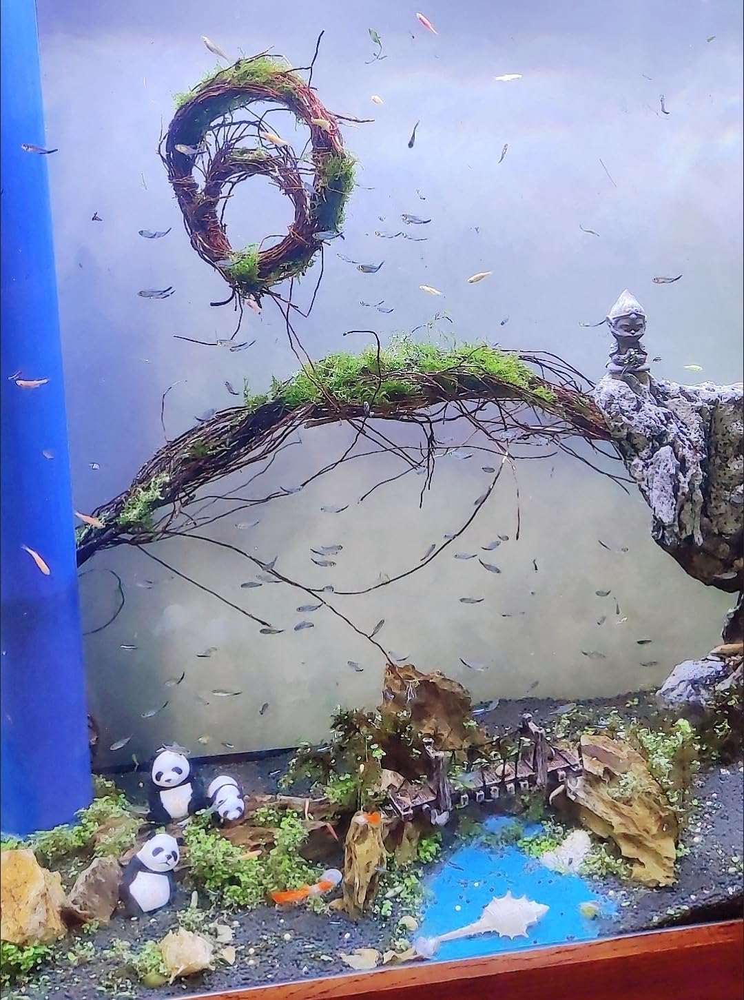 160g Aquarium Driftwood Roots - Bushy Tank Wood for aquascaping - Perfect for Fry, Shrimp or Terrarium,Natural Wood Roots for Aquarium aquascaping